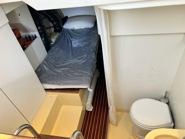 Mochi Craft-Dolphin 2006 -Dighton-Massachusetts-United States-5568990