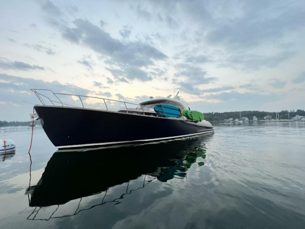 Mochi Craft-Dolphin 2006 -Dighton-Massachusetts-United States-5568988