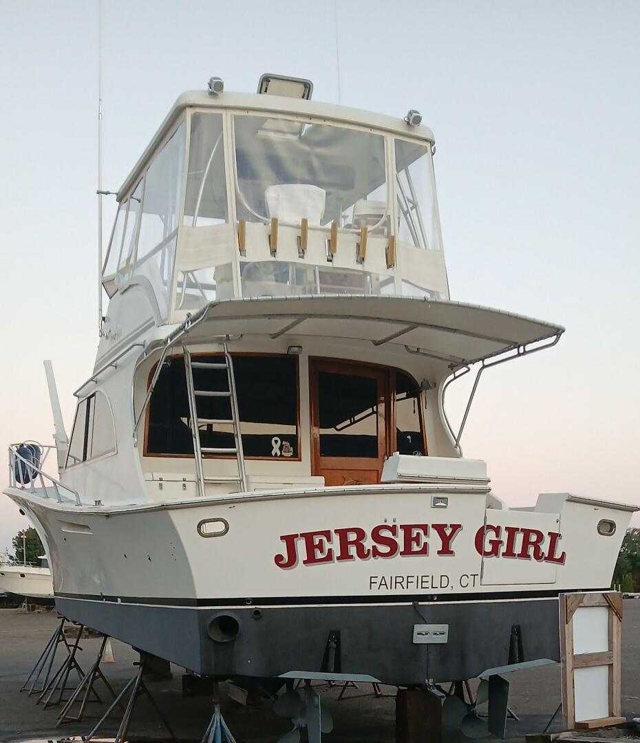 Jersey-Dawn 1991-Jersey Girl Bridgeport-Connecticut-United States-5605214 | Thumbnail