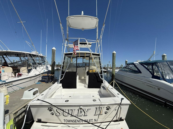 Blackfin-Combi 33 1997-Sully II Cape May-New Jersey-United States-5602347