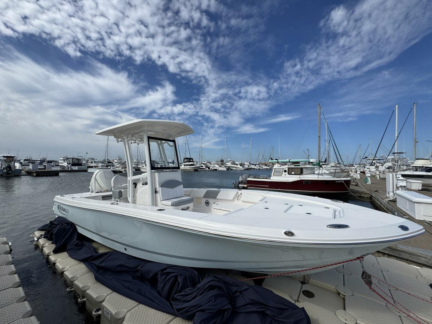 Robalo-246 Cayman 2021 -Mt. Pleasant-South Carolina-United States-5639209 | Thumbnail