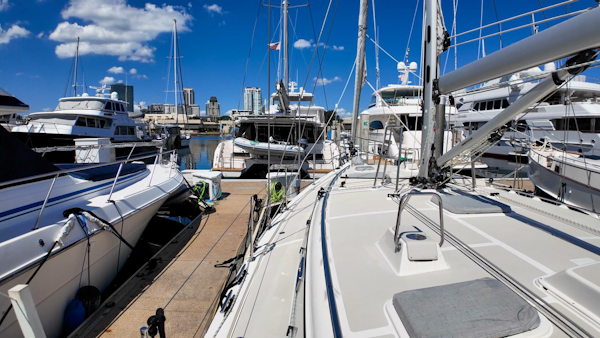 Island Packet-439 2023-Hawkeye St Petersburg-Florida-United States-5650096