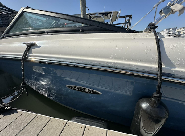 Sea Ray-190 OB SPX 2023 -Avalon-New Jersey-United States-5675447
