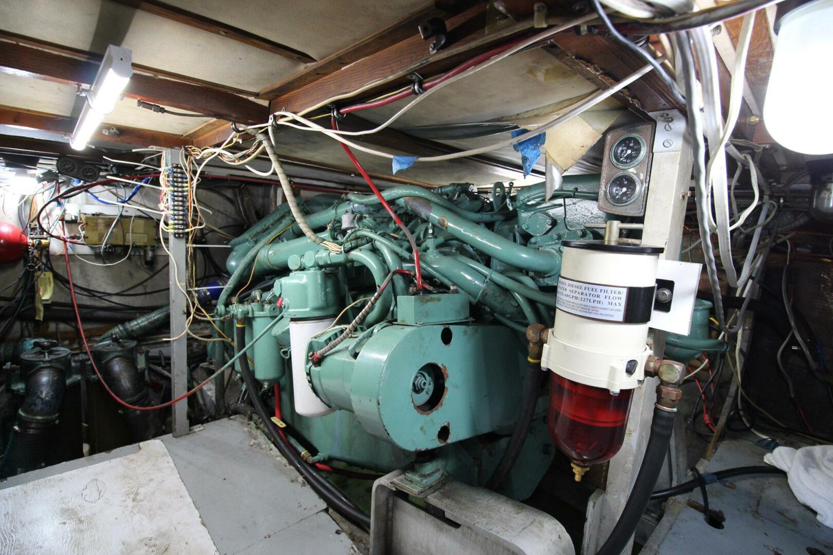 Bertram-42 Motor Yacht 1974-Forever and Always Fort Lauderdale-Florida-United States-5680738 | Thumbnail