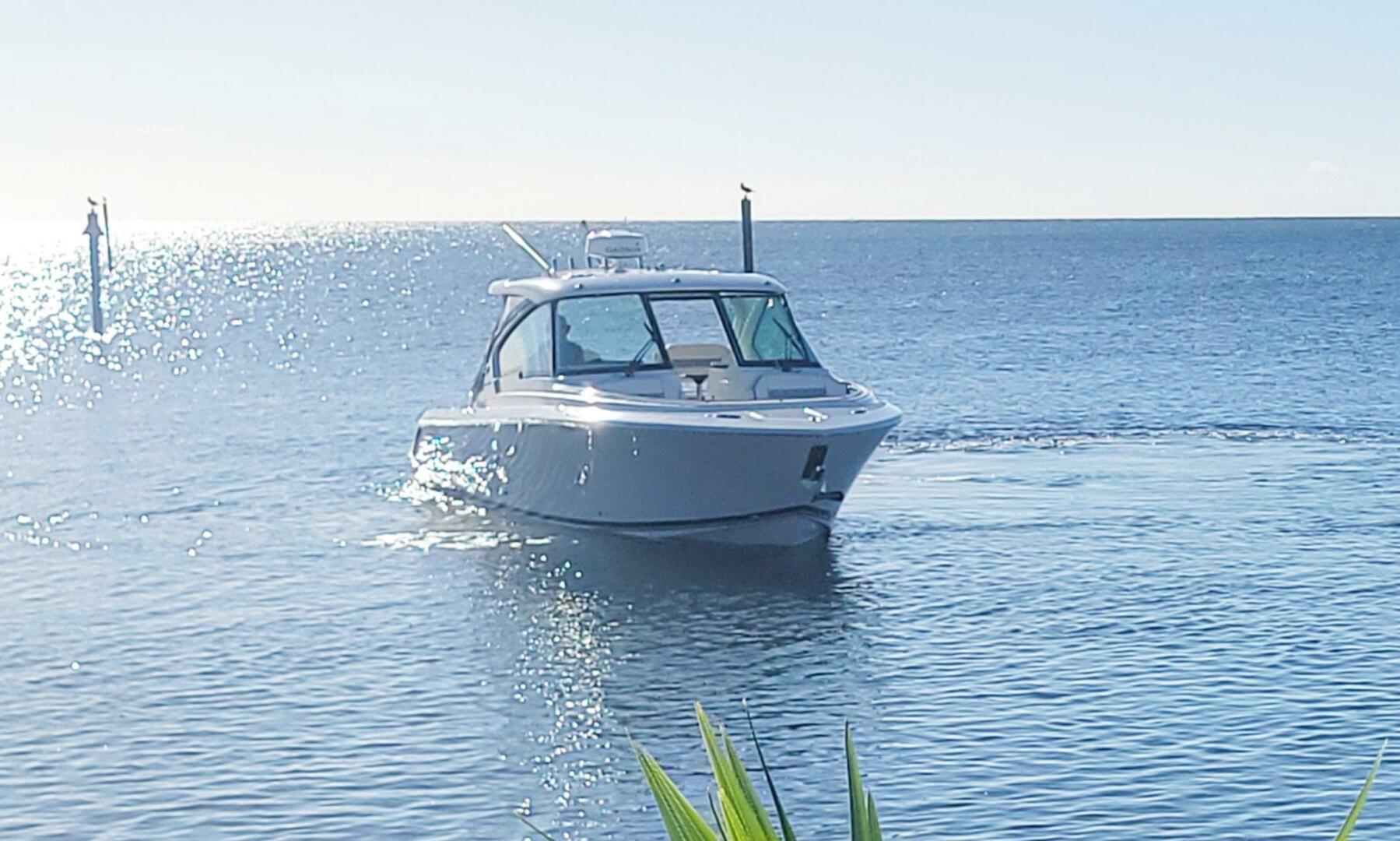 Pursuit-326 DC 2021 -Key Largo-Florida-United States-5697720 | Thumbnail