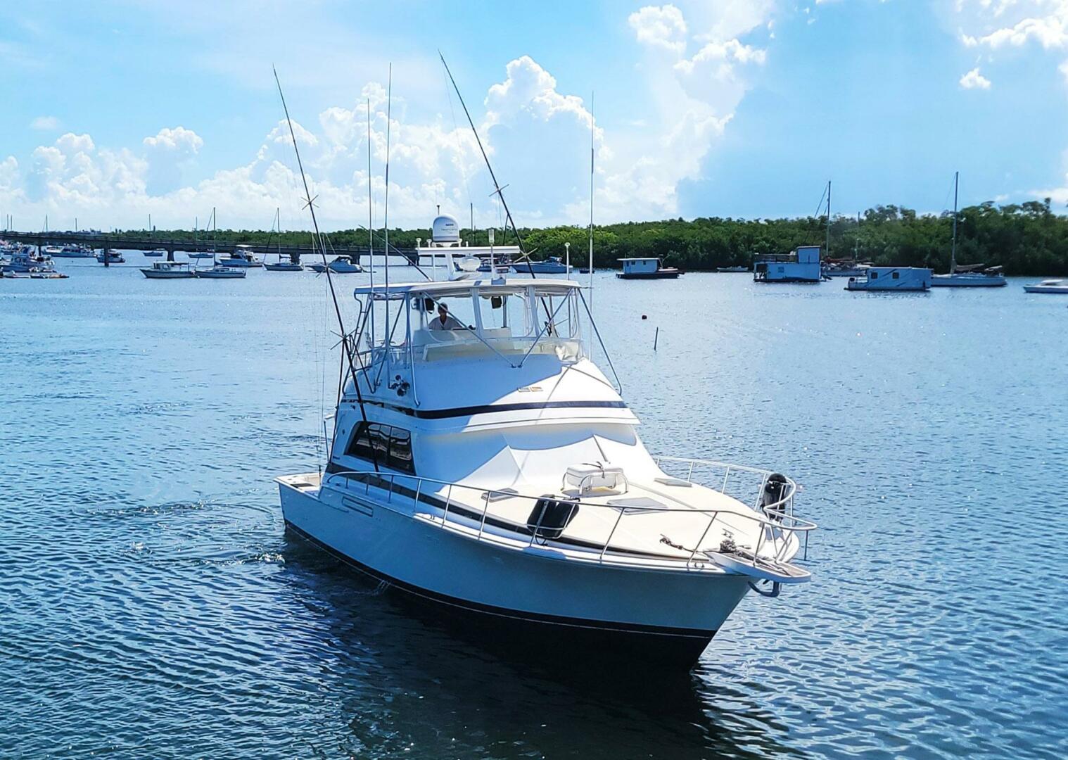 Bertram-50 Convertible 1989-Trophy Hunter Marathon-Florida-United States-5698031 | Thumbnail