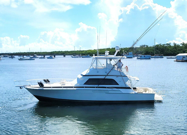 Bertram-50 Convertible 1989-Trophy Hunter Marathon-Florida-United States-5697914