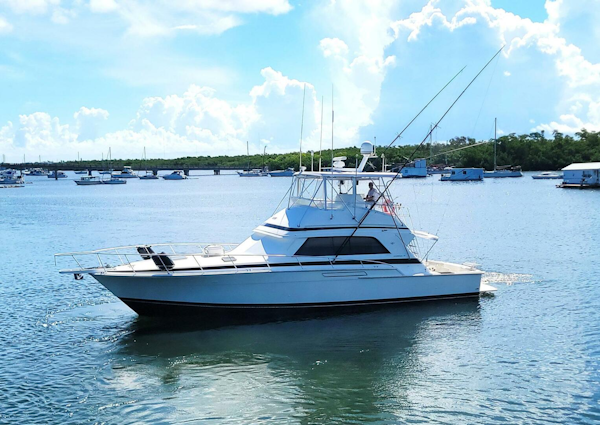 Bertram-50 Convertible 1989-Trophy Hunter Marathon-Florida-United States-5698038