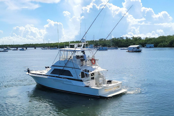 Bertram-50 Convertible 1989-Trophy Hunter Marathon-Florida-United States-5698025