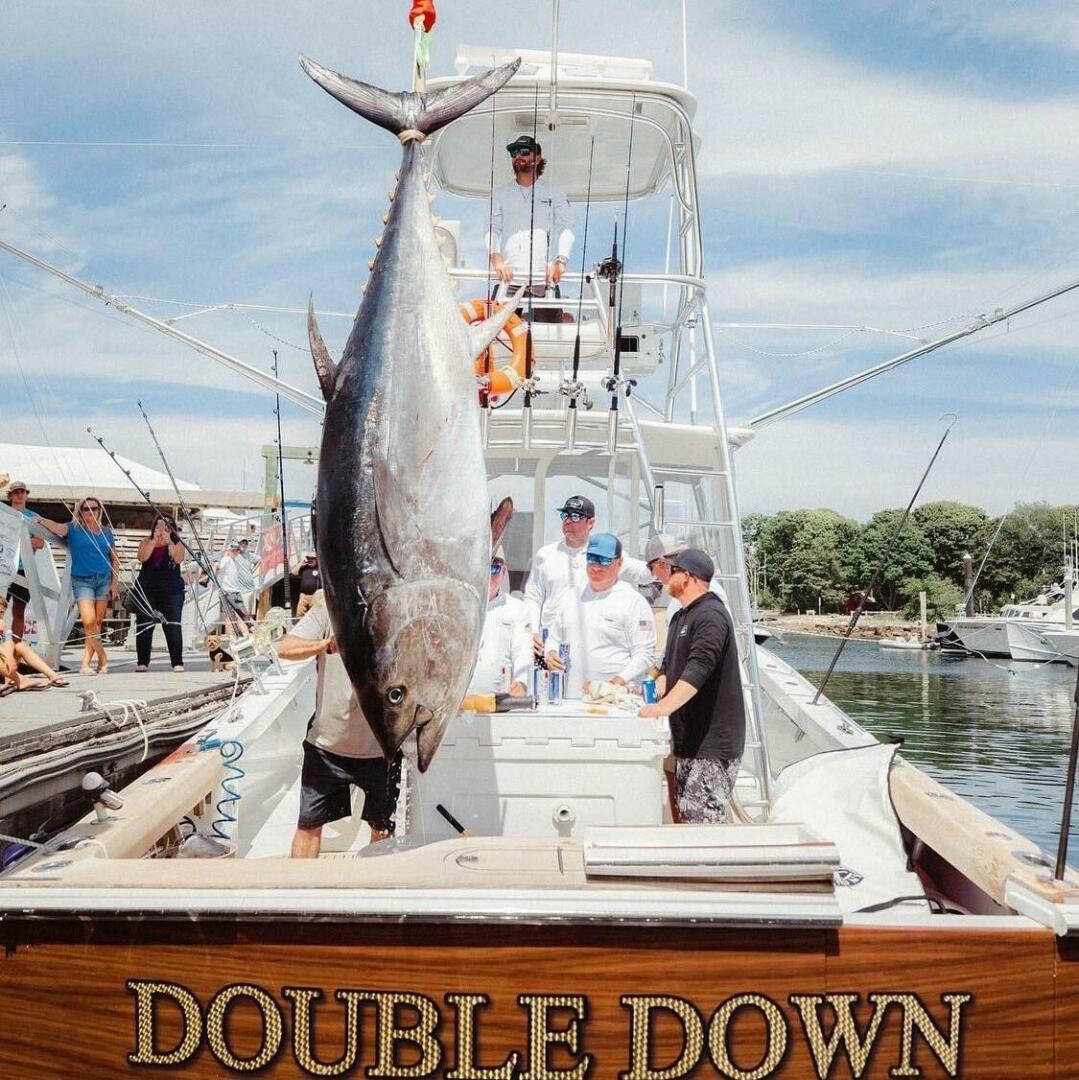 Release-Walkaround 2014-DOUBLE DOWN Fort Lauderdale-Florida-United States-5715661 | Thumbnail