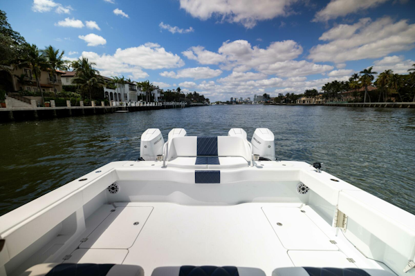 Freeman 2026 -Tampa-Florida-United States-5717087