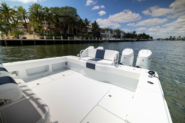 Freeman 2026 -Tampa-Florida-United States-5717084