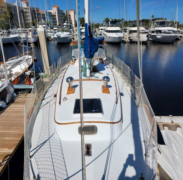 Tayana-37 1984-Albatross Palm Coast-Florida-United States-5784150