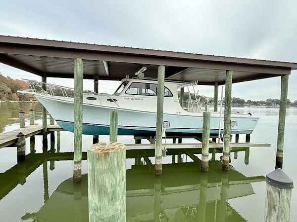 Judge-36 Chesapeake 2019-Tracey Von Colonial Beach-Virginia-United States-0005445919-5788617