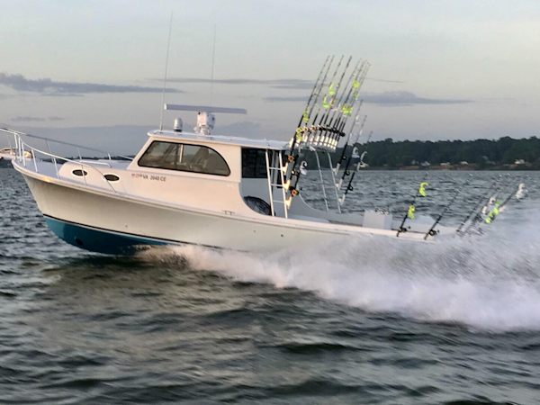 Judge-36 Chesapeake 2019-Tracey Von Colonial Beach-Virginia-United States-5837202