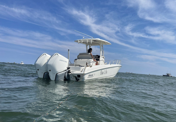Boston Whaler-270 Dauntless 2022-Bae Life Moorestown-New Jersey-United States-5802063