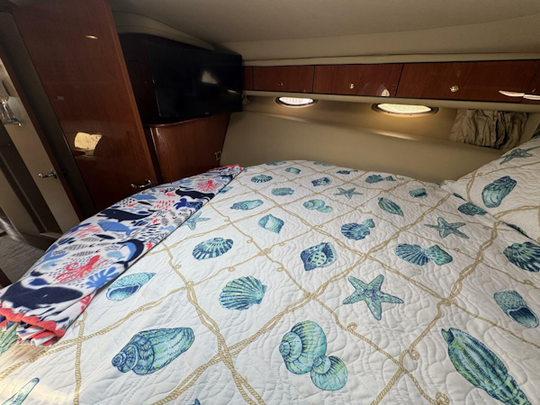 Sea Ray-540 Sundancer 2001-Rose STAMFORD -Connecticut-United States-5804080