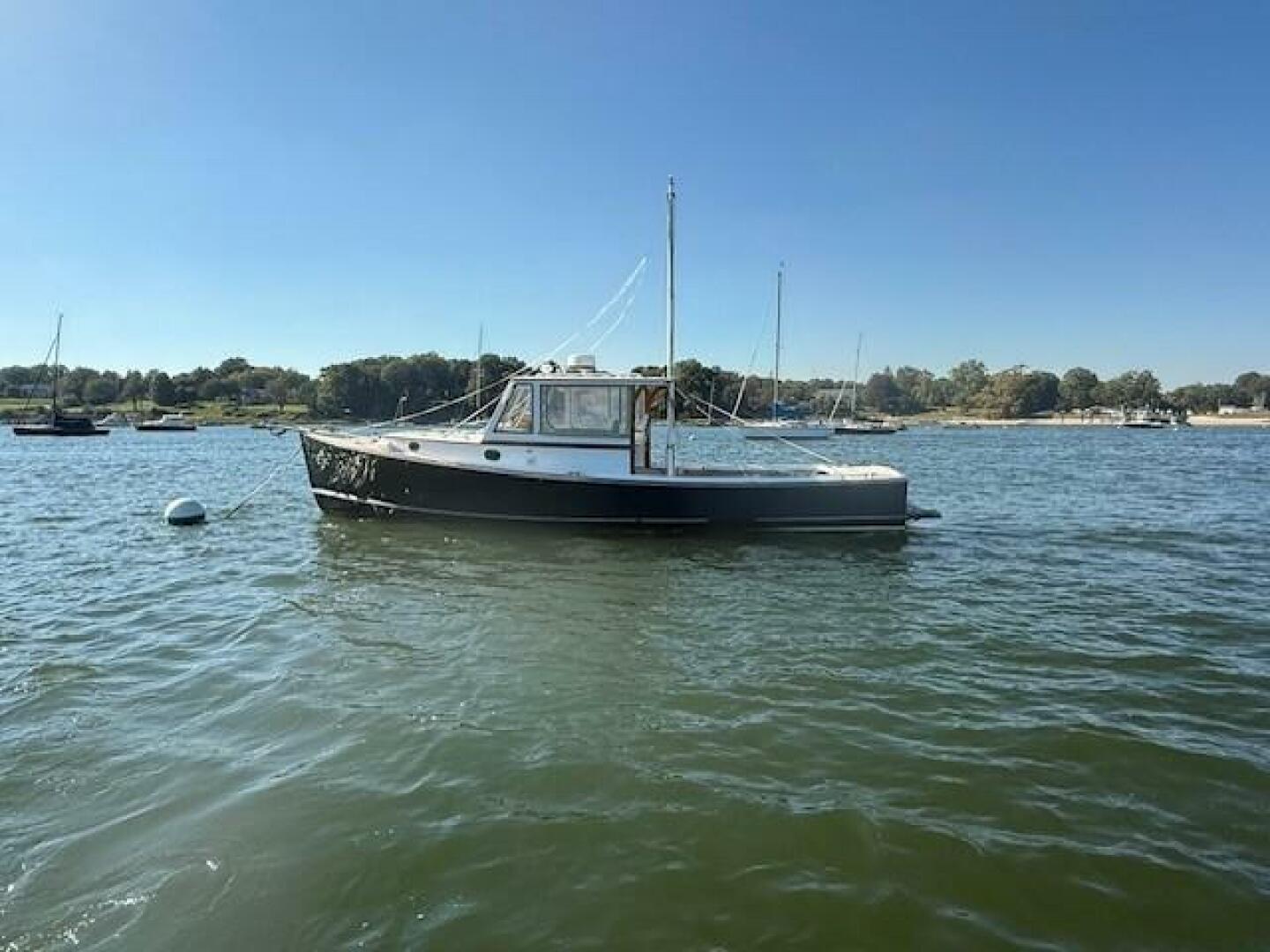 Jarvis Newman 1975 -Milford-Connecticut-United States-5805918 | Thumbnail