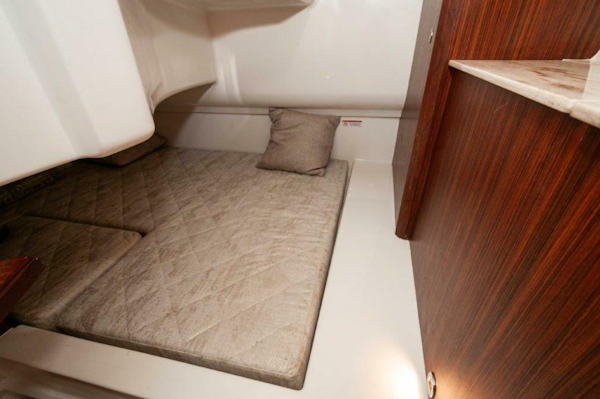 Pursuit-DC 365 Dual Console 2023-Silver Lining Panama City-Florida-United States-5809620