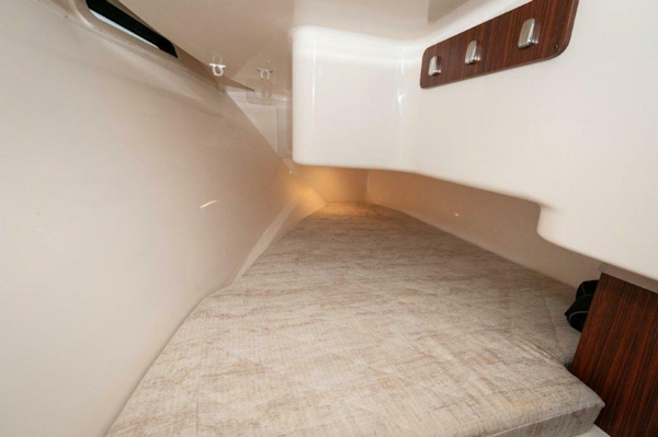 Pursuit-DC 365 Dual Console 2023-Silver Lining Panama City-Florida-United States-5809619