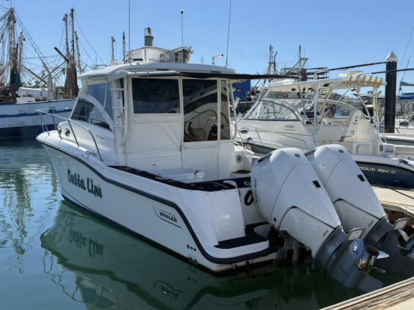 Boston Whaler-315 Conquest 2017-Outta Line Puerto Penasco, SONORA-Mexico-5820880