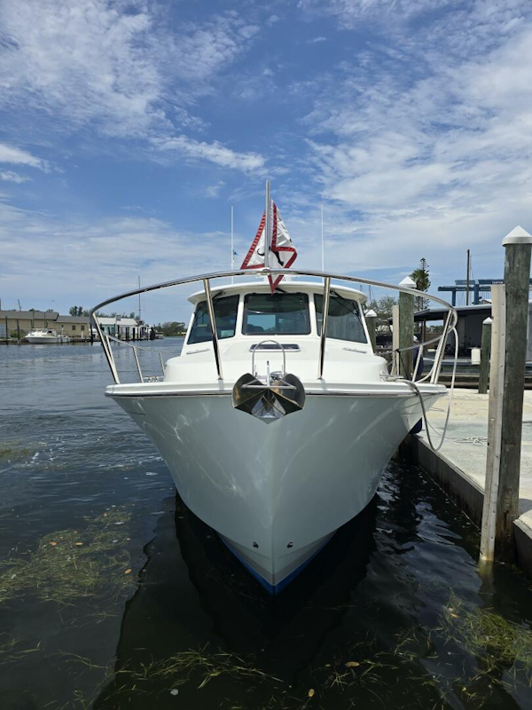 Back Cove-390 2021-AMERICAN GIRL Tampa-Florida-United States-5815434