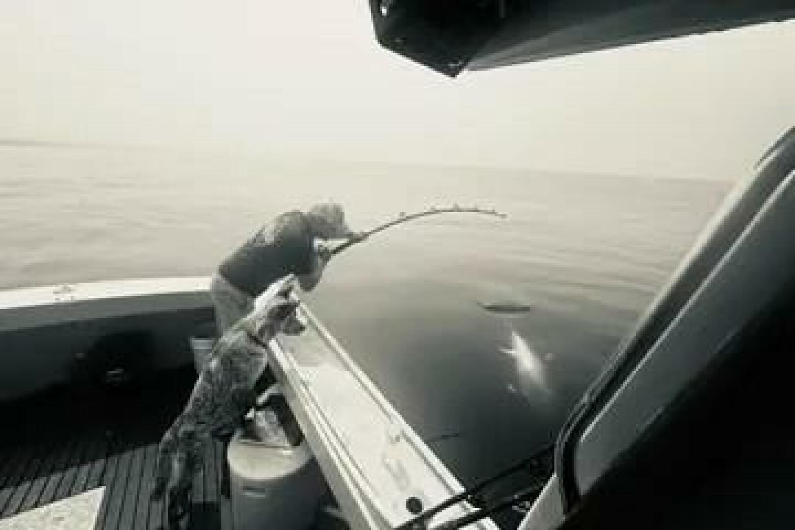 Holland-32 Sport Cruiser 1981 -Portland-Maine-United States-5816606 | Thumbnail