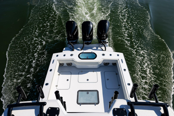Conch 2025 -Palm Harbor-Florida-United States-5828550