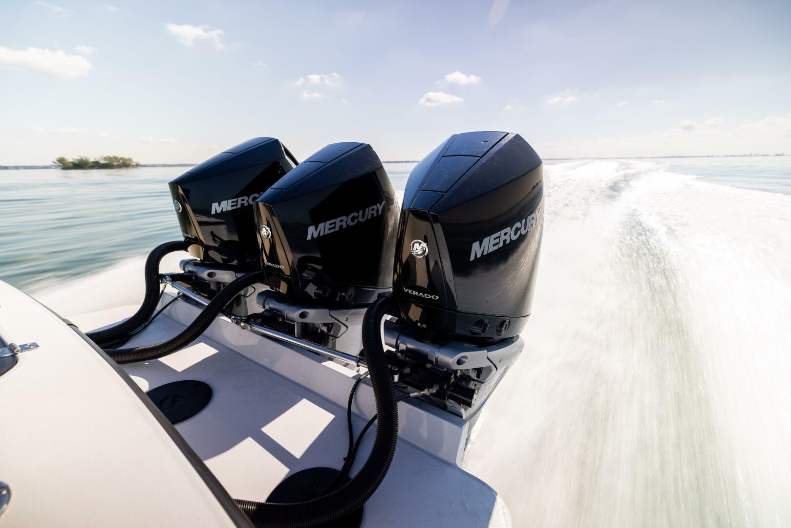 Conch 2025 -Palm Harbor-Florida-United States-5828530 | Thumbnail