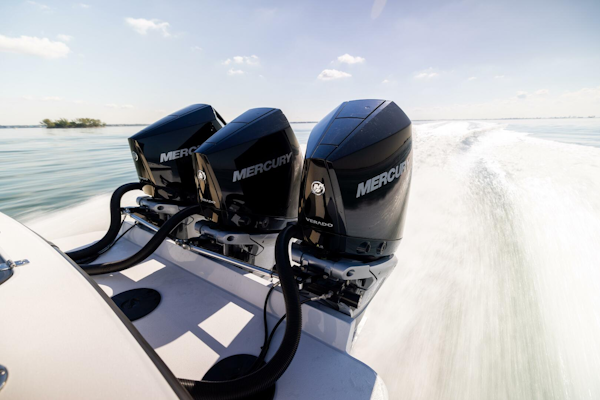 Conch 2025 -Palm Harbor-Florida-United States-5828530