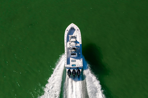 Conch 2025 -Palm Harbor-Florida-United States-5828613