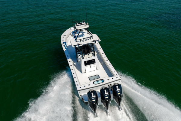 Conch 2025 -Palm Harbor-Florida-United States-5828519
