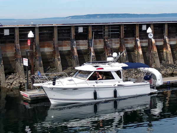 Cutwater 2016-Free Range  Poulsbo -Washington-United States-5831207