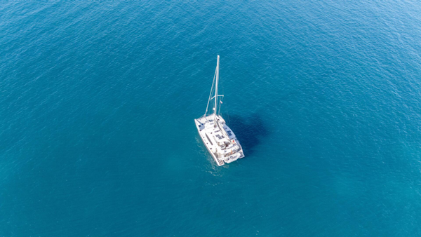 Leopard-58 2014-ANNEX St. Thomas Islands-Virgin Islands-United States-5927621
