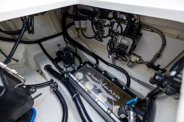 Invincible-40 CAT 2024 -Waverly-Georgia-United States-5836538