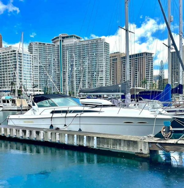 Sea Ray-390 Express Cruiser 1989-HAPA LOLO Honolulu-Hawaii-United States-5845357