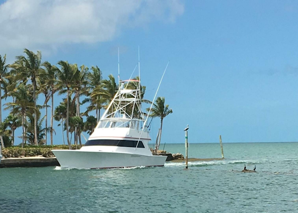 Custom Carolina-Lydia 57 Sportfish 2001-Red Witch Tampa-Florida-United States-5846831