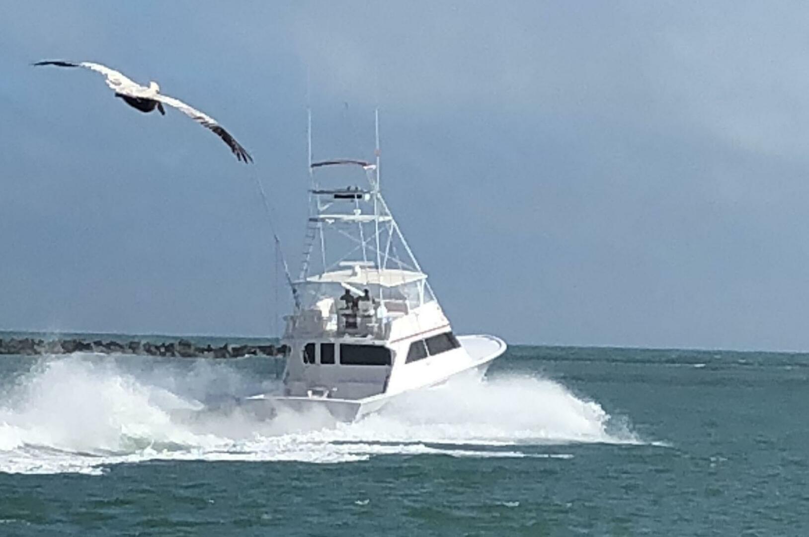 Custom Carolina-Lydia 57 Sportfish 2001-Red Witch Tampa-Florida-United States-5846829 | Thumbnail