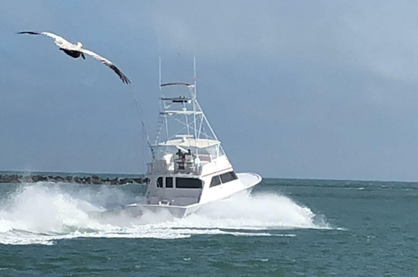 Custom Carolina-Lydia 57 Sportfish 2001-Red Witch Tampa-Florida-United States-5846829