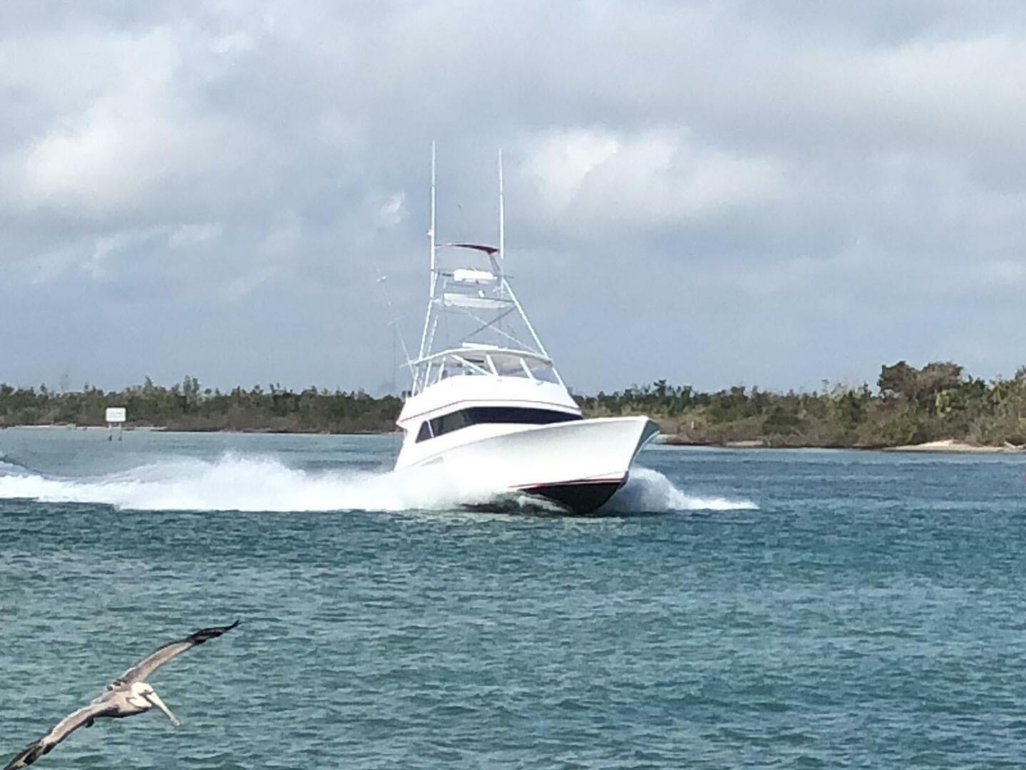 Custom Carolina-Lydia 57 Sportfish 2001-Red Witch Tampa-Florida-United States-5846769 | Thumbnail
