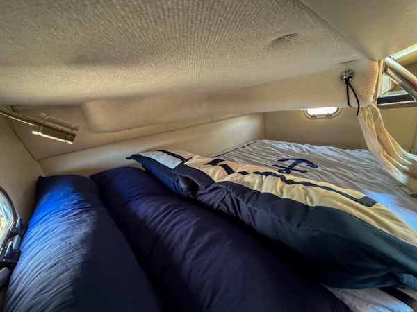 Regal-26 Express 2020 -St. Petersburg-Florida-United States-5871512