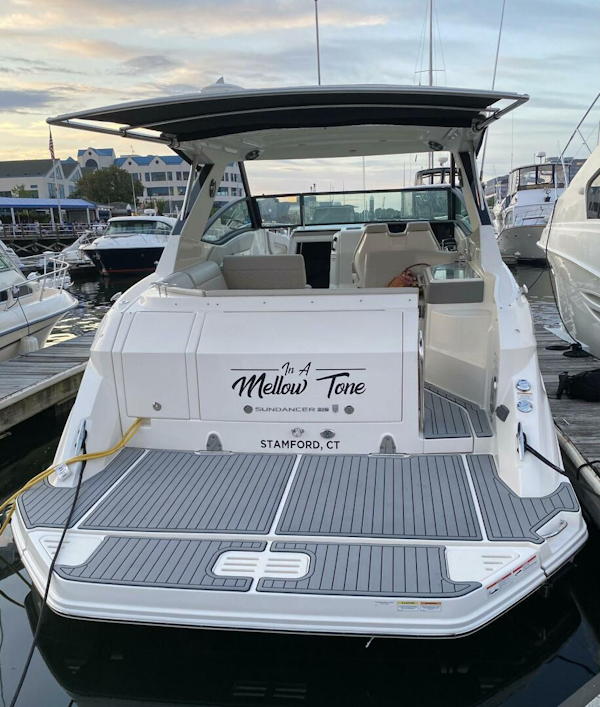 Sea Ray-Sundancer 320 2020 -Brick-New Jersey-United States-5854915