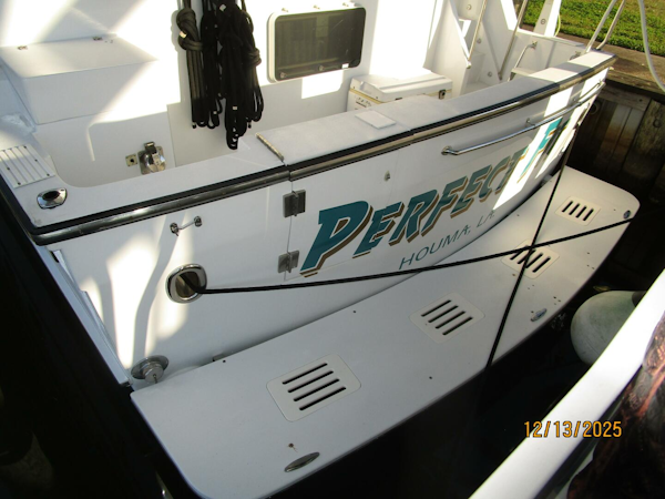 Jefferson-Marquessa 2000-Perfect Fit Houma-Louisiana-United States-60 Jefferson swimplatform1-5856707