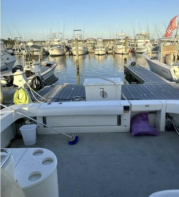 Sea Ray-330 Express 1998 -Cape May-New Jersey-United States-5857298