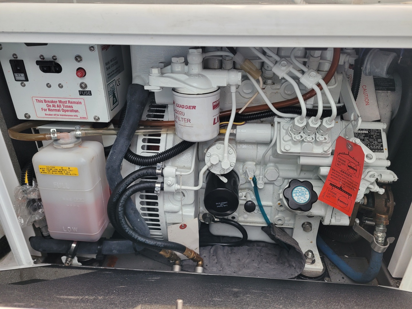 Robertson & Caine-Leopard 2018-Isola Norwalk-Connecticut-United States-6014264 | Thumbnail