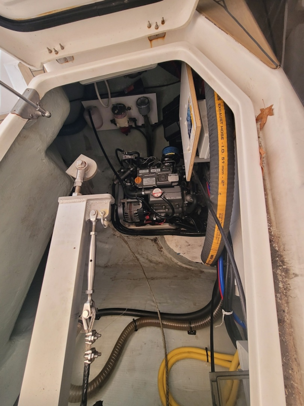 Robertson & Caine-Leopard 2018-Isola Norwalk-Connecticut-United States-6014255