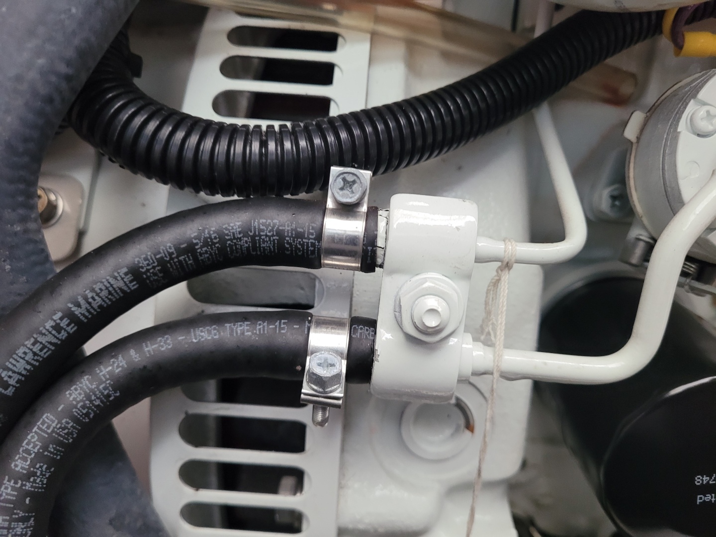 Robertson & Caine-Leopard 2018-Isola Norwalk-Connecticut-United States-6014263 | Thumbnail