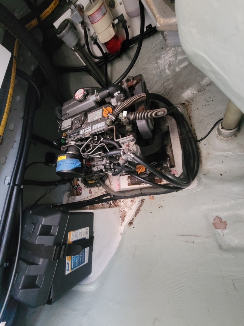 Robertson & Caine-Leopard 2018-Isola Norwalk-Connecticut-United States-6014268 | Thumbnail