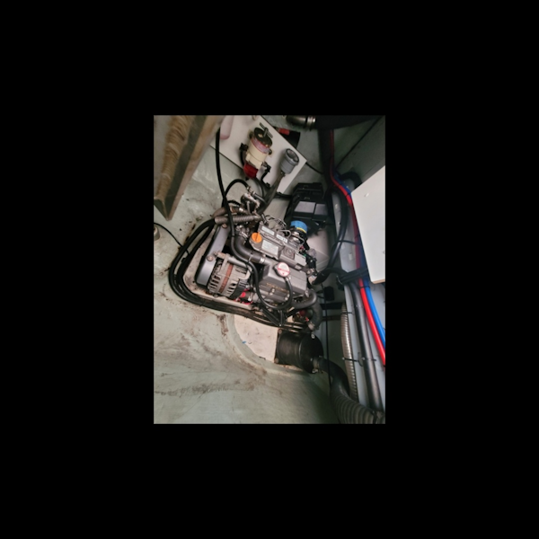 Robertson & Caine-Leopard 2018-Isola Norwalk-Connecticut-United States-6014267