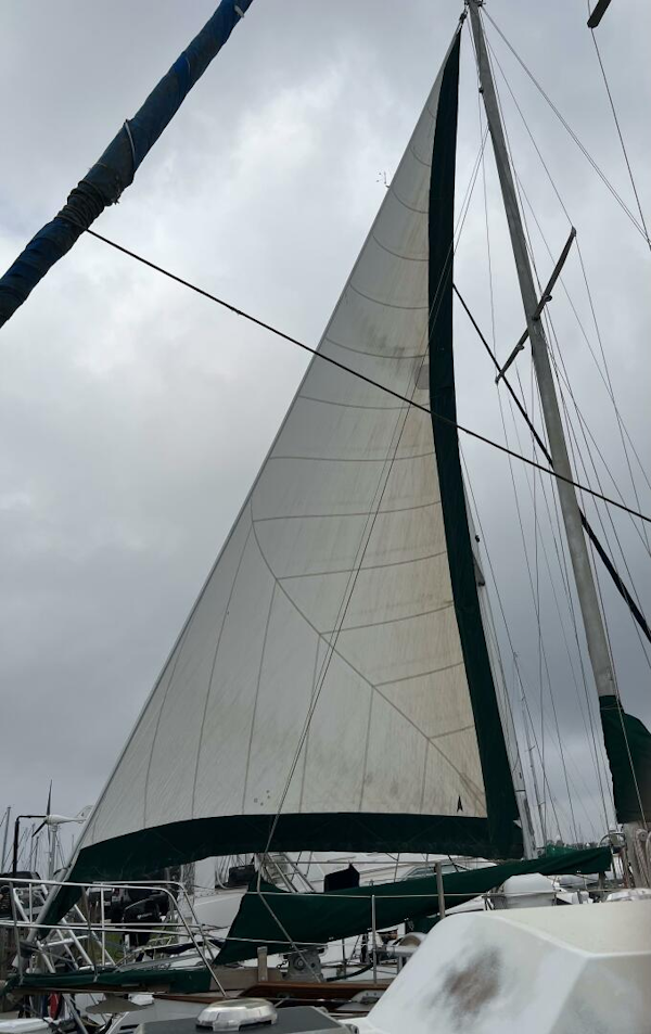 Tayana-37 1979-Flamboyant Kemah, TX-Texas-United States-5954598